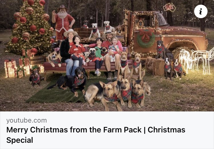 A healing Merry Christmas